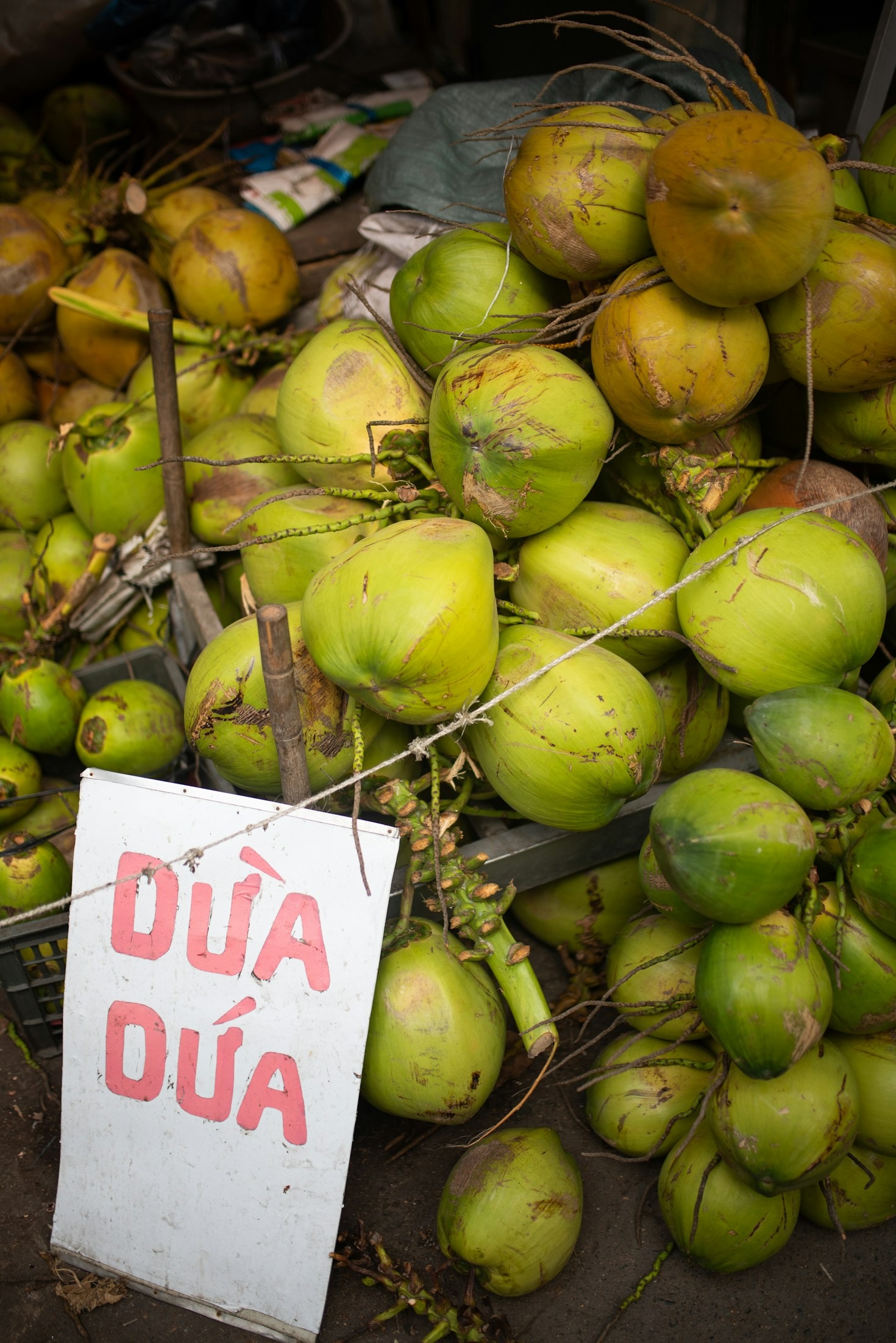 Transforming Your Vacation: Tropical Fruit Tasting